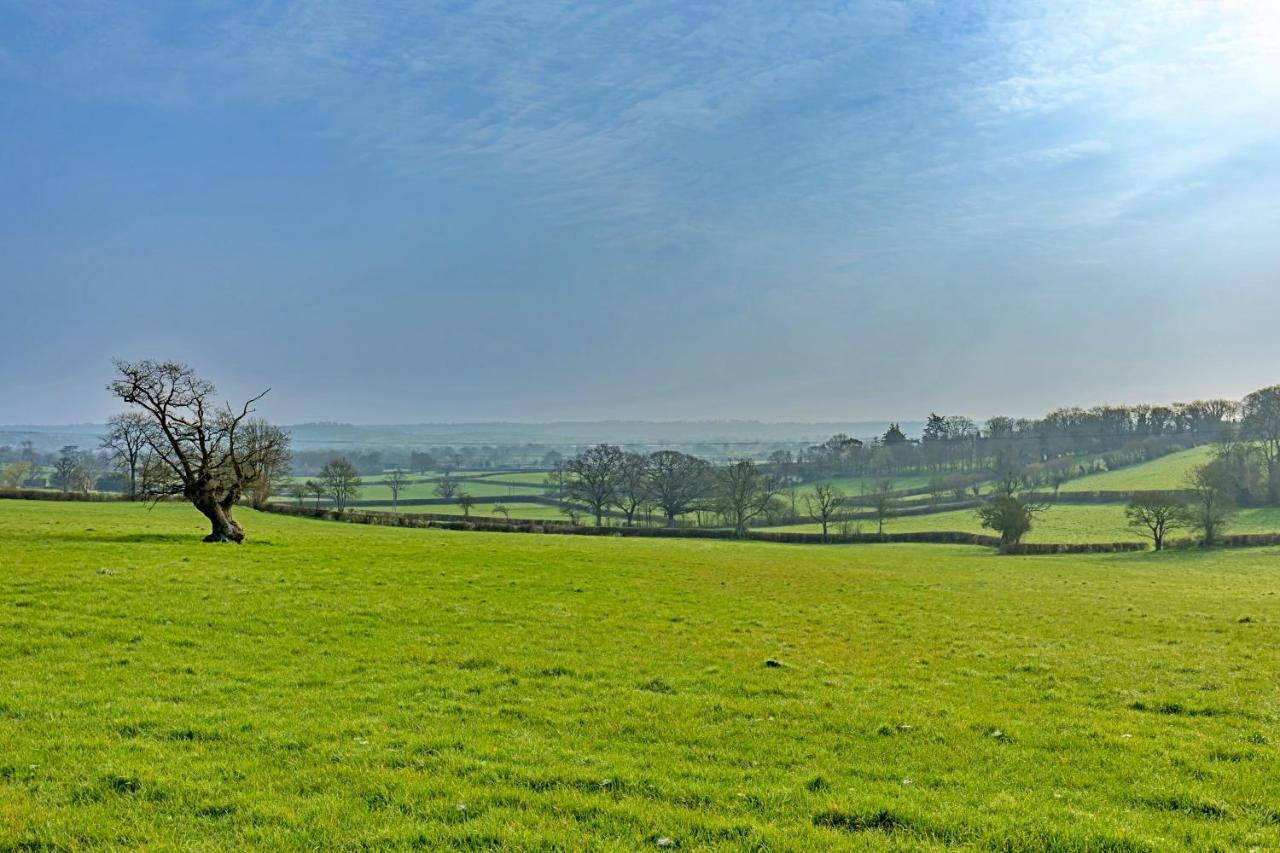 Finest Retreats - Fives Court Cottage North Cheriton 外观 照片